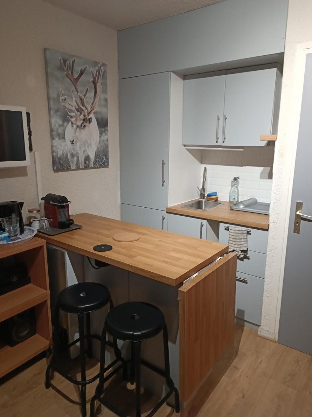 Studio Au Pied Des Pistes Avec Vue Sur La Montagne Mieussy Eksteriør bilde